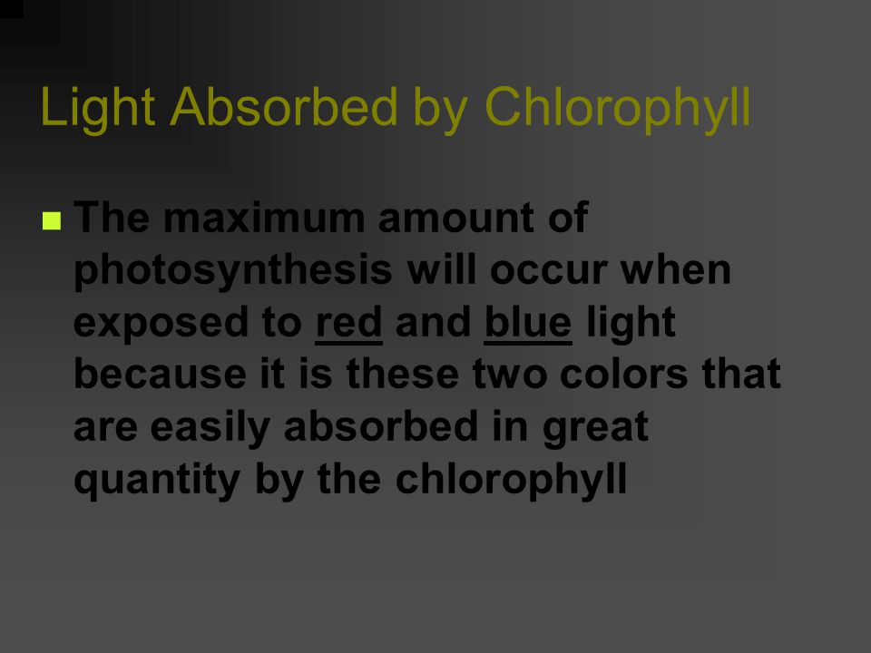 Below is the absorption spectrum for chlorophyll.