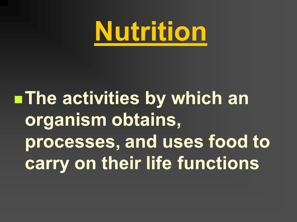 Chapter 8 Photosynthesis and Autotrophic Nutrition