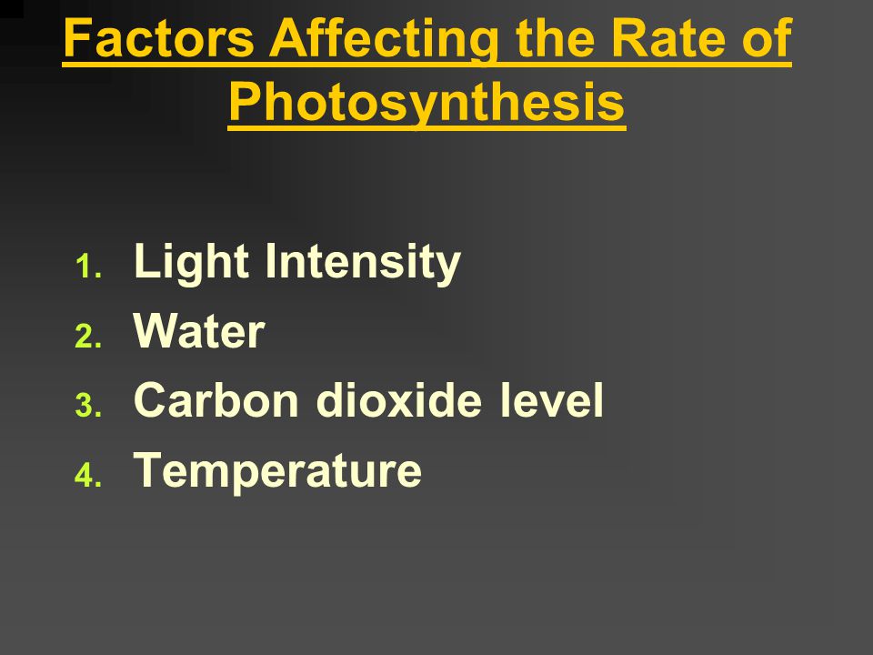Chemiosmosis in Photosynthesis ATP is produced as the H + pass through the enzyme ATP synthase Show video clip – Light dependent reactions: Part 2