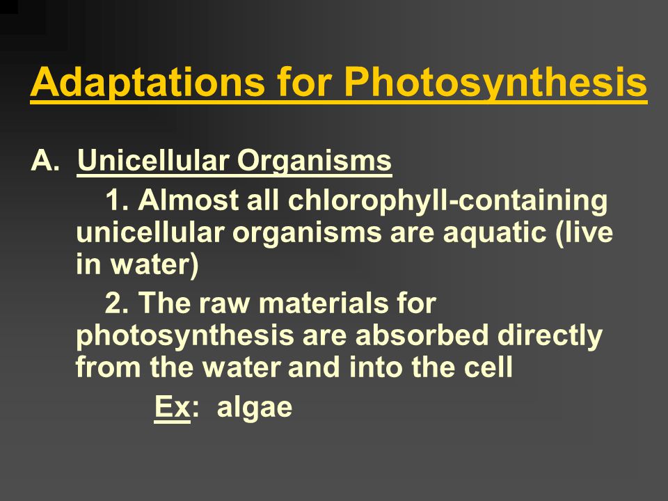 Factors Affecting the Rate of Photosynthesis 1. Light Intensity 2.