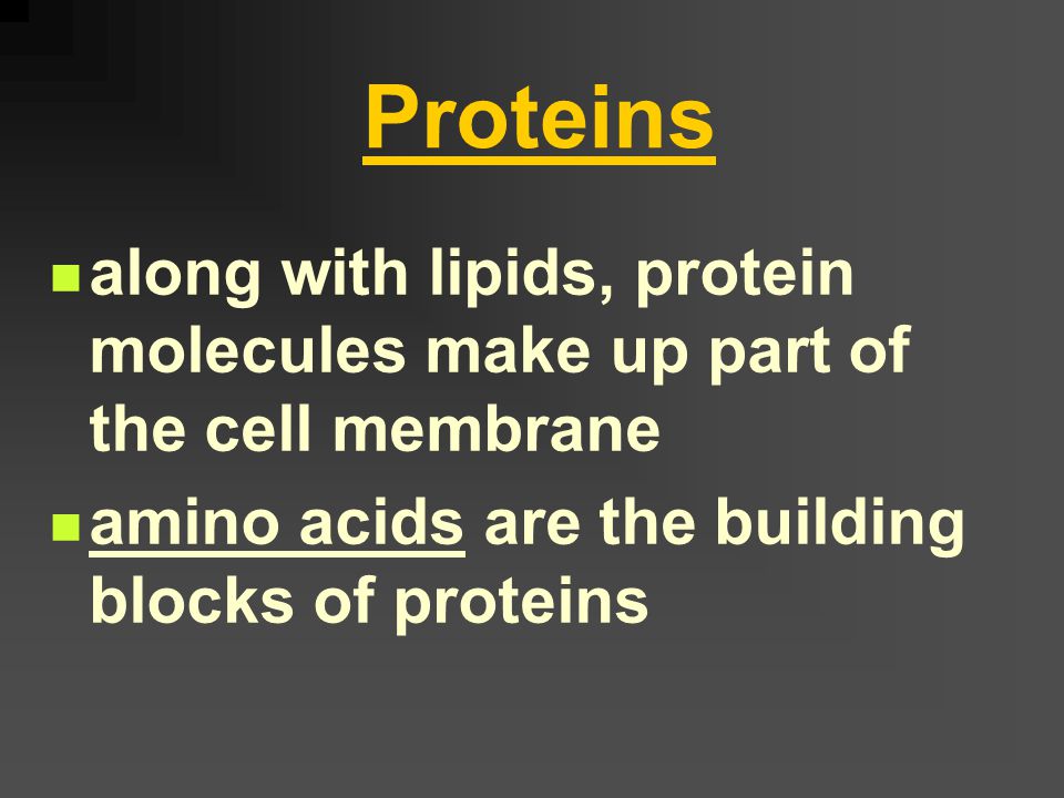 Lipids commonly known as fats source of stored energy in living organisms The building blocks for lipids are 3 fatty acids and 1 glycerol molecule