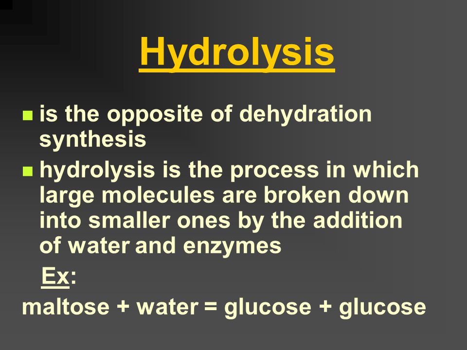 Dehydration Synthesis the process in which two molecules are joined together, with the help of enzymes, to form a larger molecule plus water Ex: glucose + glucose = maltose + water