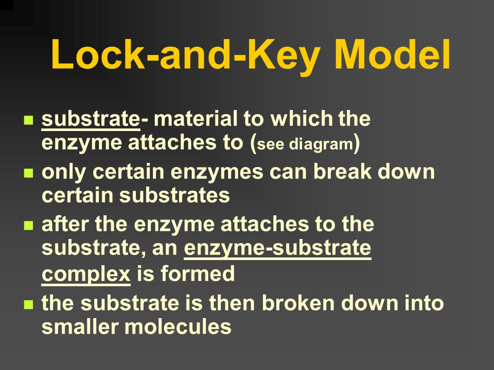 Enzymes Are known as a catalyst All enzymes end in ase Ex: substrate enzyme maltose  maltase lipid  lipase Enzymes regulate the rate at which reactions occur