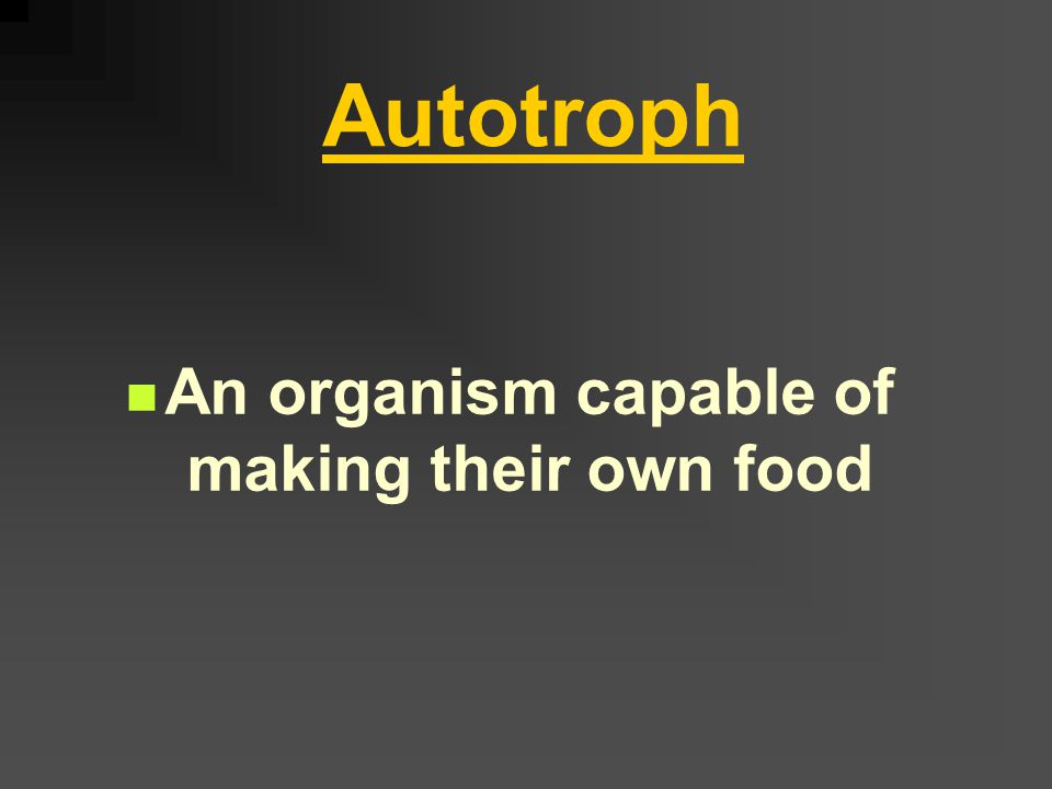 (I) Autotrophic Nutrition A type of nutrition in which an organism can make its own food Ex: green plants algae some bacteria