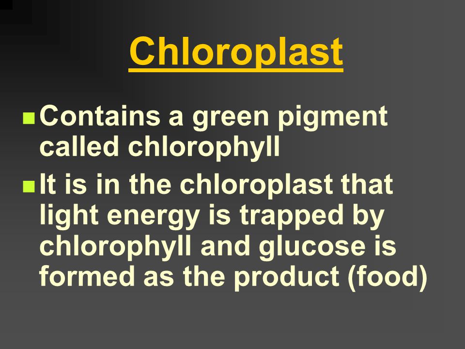 Photosynthesis The most common type of autotrophic nutrition In this process, organisms use energy from sunlight, carbon dioxide, and water to make its own food