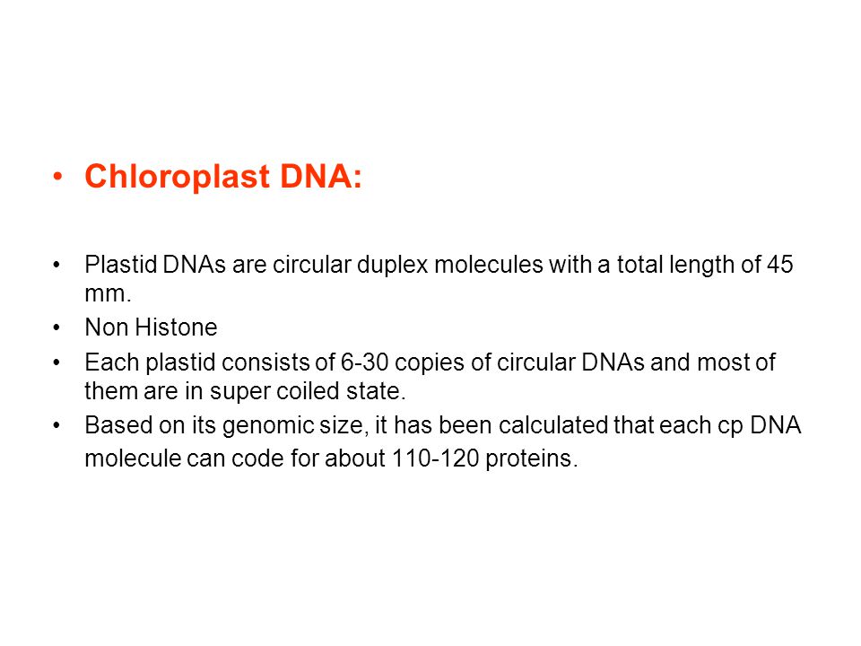 Chloroplast DNA: Plastid DNAs are circular duplex molecules with a total length of 45 mm.