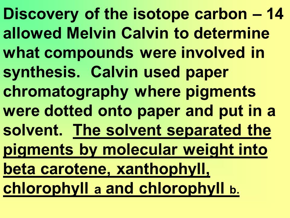 Discovery of the isotope carbon – 14 allowed Melvin Calvin to determine what compounds were involved in synthesis.
