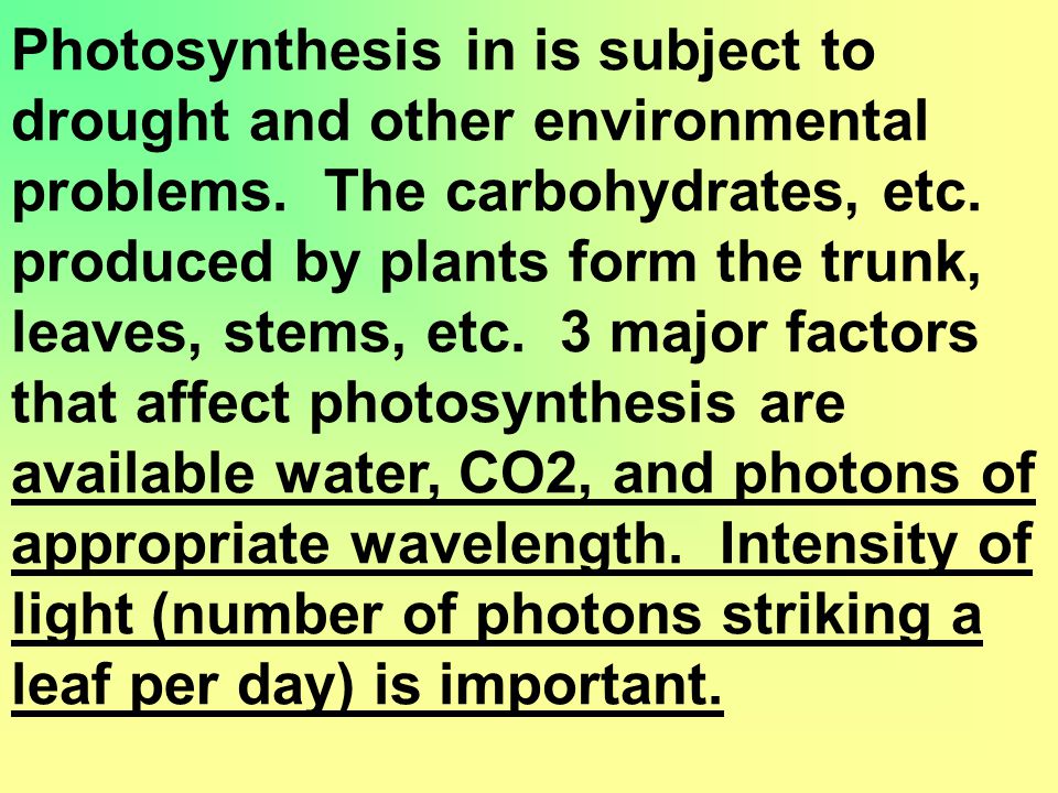 Photosynthesis in is subject to drought and other environmental problems.