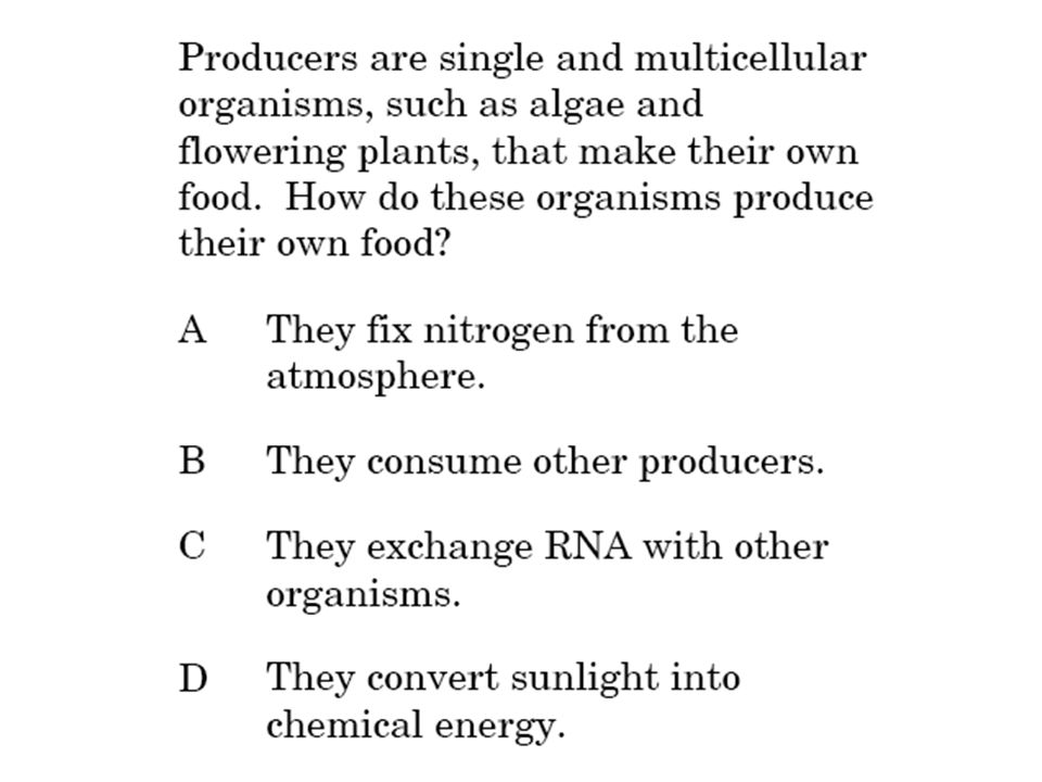 critical thinking questions photosynthesis