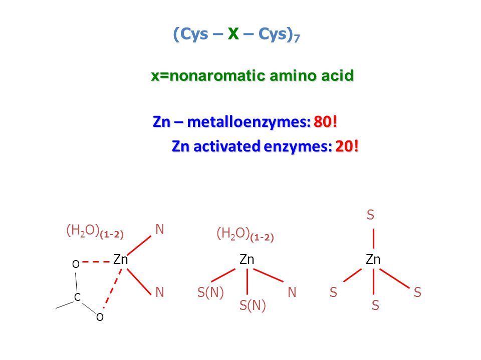 Zn – metalloenzymes: 80. Zn – metalloenzymes: 80.