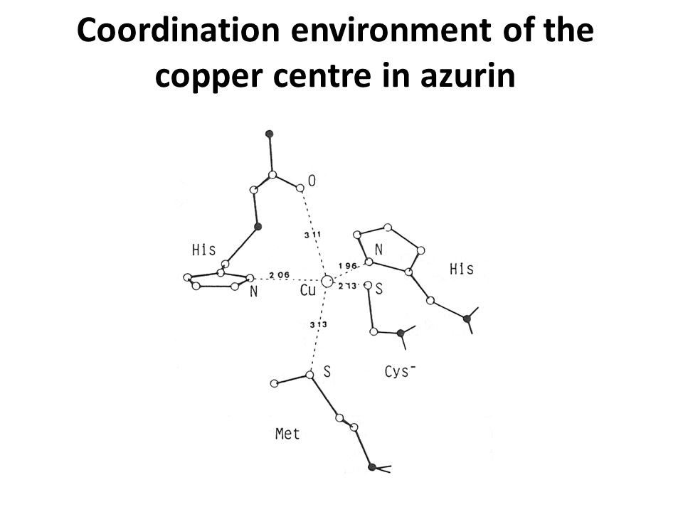 Coordination environment of the copper centre in azurin
