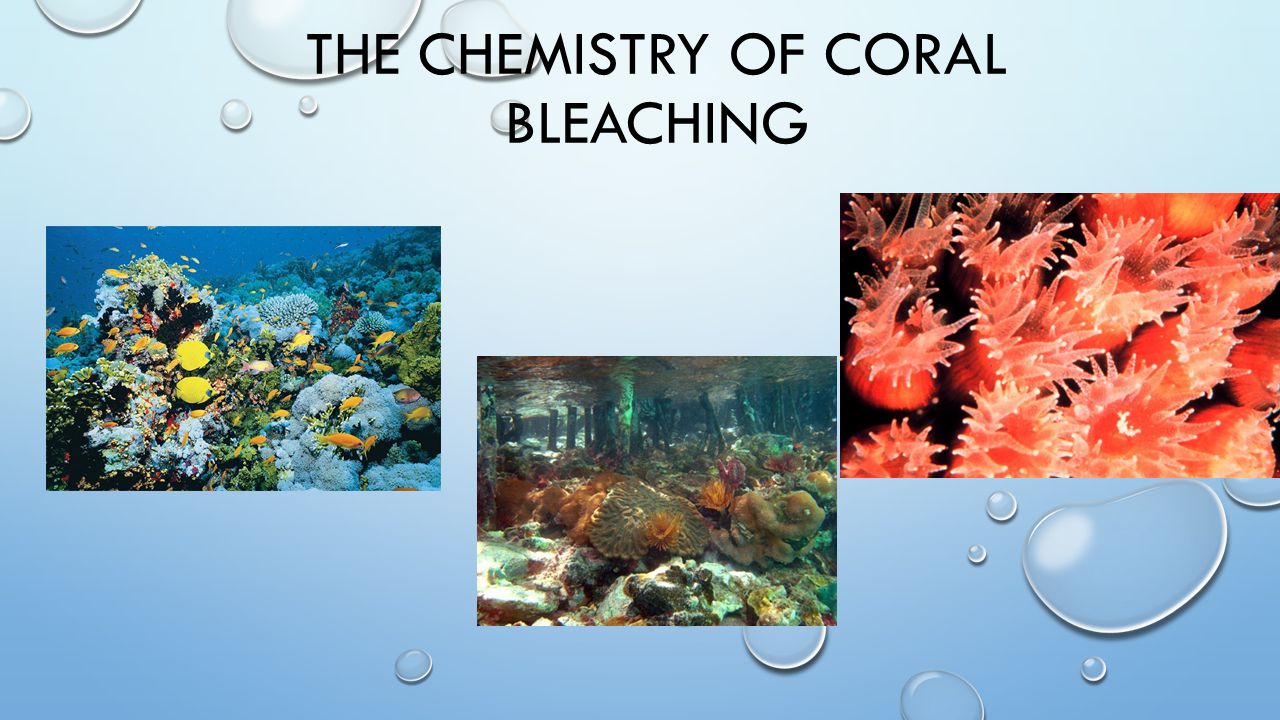 THE CHEMISTRY OF CORAL BLEACHING