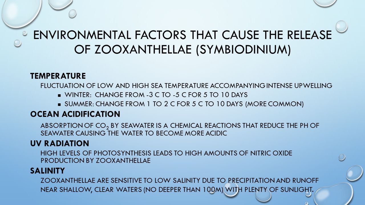 ENVIRONMENTAL FACTORS THAT CAUSE THE RELEASE OF ZOOXANTHELLAE (SYMBIODINIUM) TEMPERATURE FLUCTUATION OF LOW AND HIGH SEA TEMPERATURE ACCOMPANYING INTENSE UPWELLING WINTER: CHANGE FROM -3 C TO -5 C FOR 5 TO 10 DAYS SUMMER: CHANGE FROM 1 TO 2 C FOR 5 C TO 10 DAYS (MORE COMMON) OCEAN ACIDIFICATION ABSORPTION OF CO 2 BY SEAWATER IS A CHEMICAL REACTIONS THAT REDUCE THE PH OF SEAWATER CAUSING THE WATER TO BECOME MORE ACIDIC UV RADIATION HIGH LEVELS OF PHOTOSYNTHESIS LEADS TO HIGH AMOUNTS OF NITRIC OXIDE PRODUCTION BY ZOOXANTHELLAE SALINITY ZOOXANTHELLAE ARE SENSITIVE TO LOW SALINITY DUE TO PRECIPITATION AND RUNOFF NEAR SHALLOW, CLEAR WATERS (NO DEEPER THAN 100M) WITH PLENTY OF SUNLIGHT.