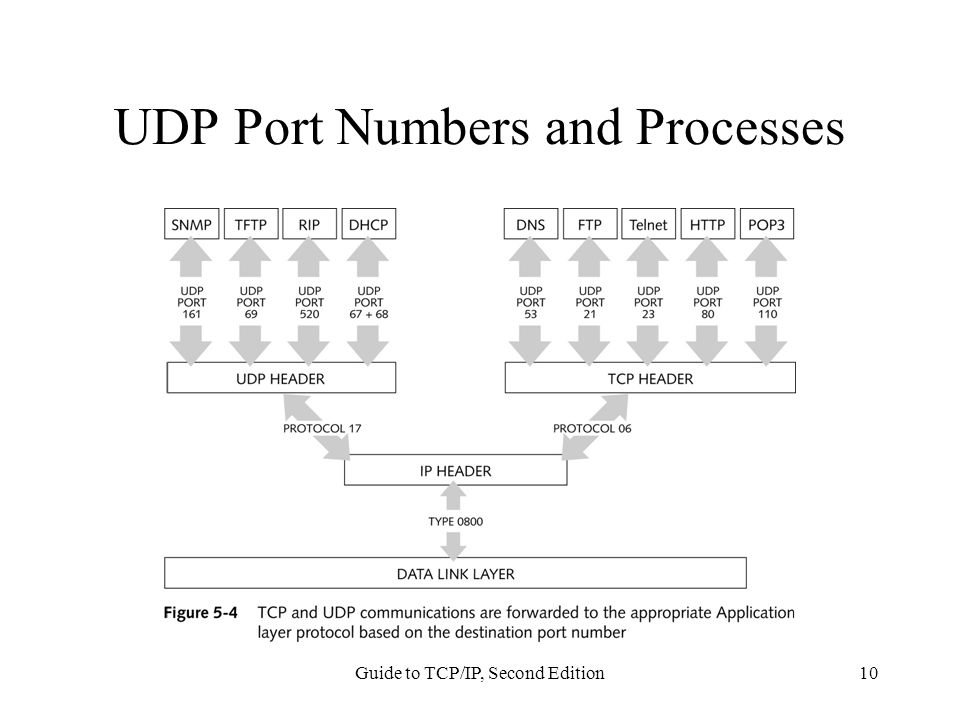 Port forwarding utorrent tcp or udp ports 12 hs para sobrevivir online subtitulada torrent