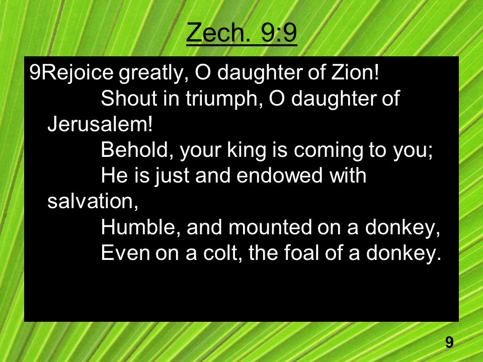 9 Zech. 9:9 9Rejoice greatly, O daughter of Zion.