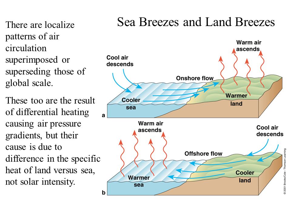 Sea Breezes and Land Breezes There are localize patterns of air circulation superimposed or superseding those of global scale.