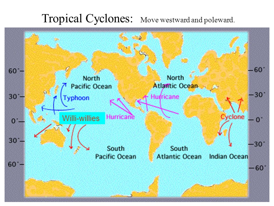 Tropical Cyclones: Move westward and poleward. Willi-willies