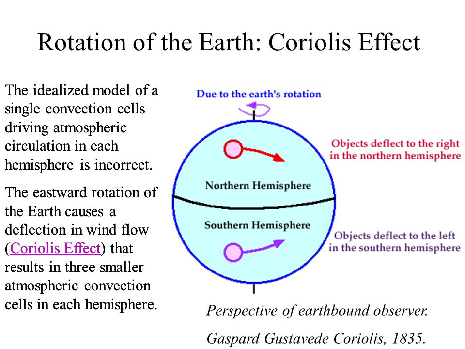 Rotation of the Earth: Coriolis Effect The idealized model of a single convection cells driving atmospheric circulation in each hemisphere is incorrect.