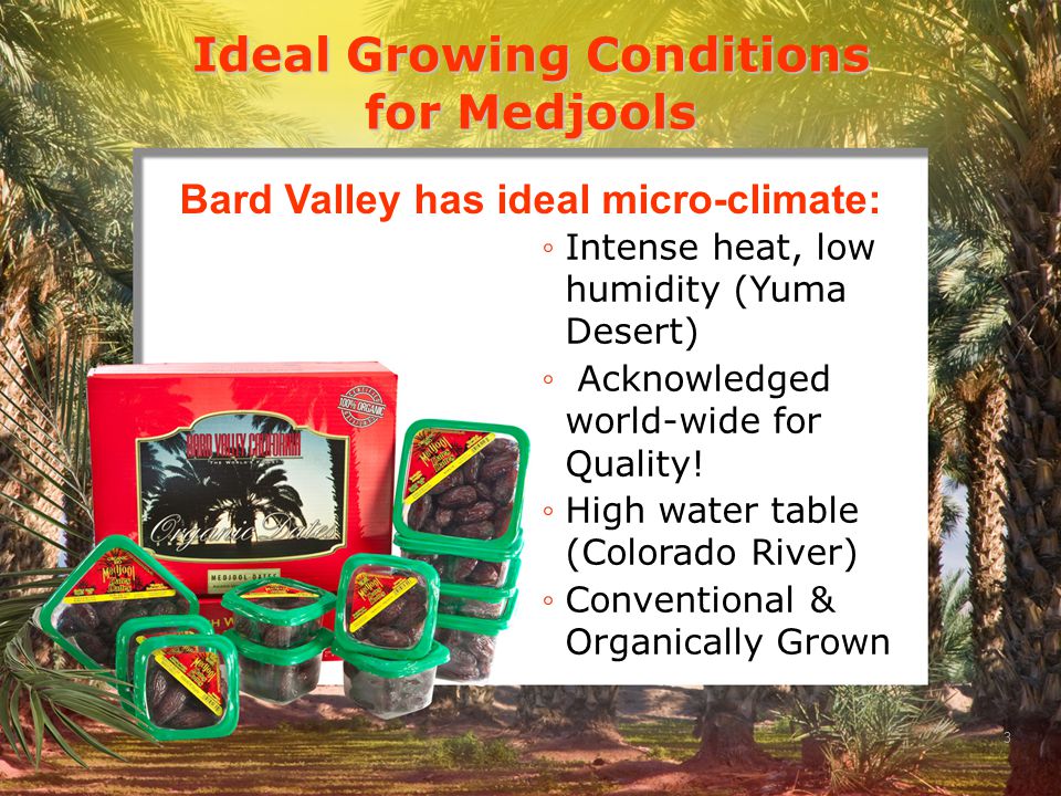 3 Ideal Growing Conditions for Medjools ◦Intense heat, low humidity (Yuma Desert) ◦ Acknowledged world-wide for Quality.