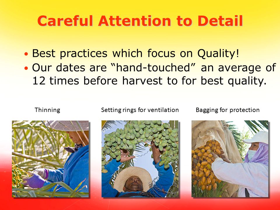 5 Careful Attention to Detail Best practices which focus on Quality.