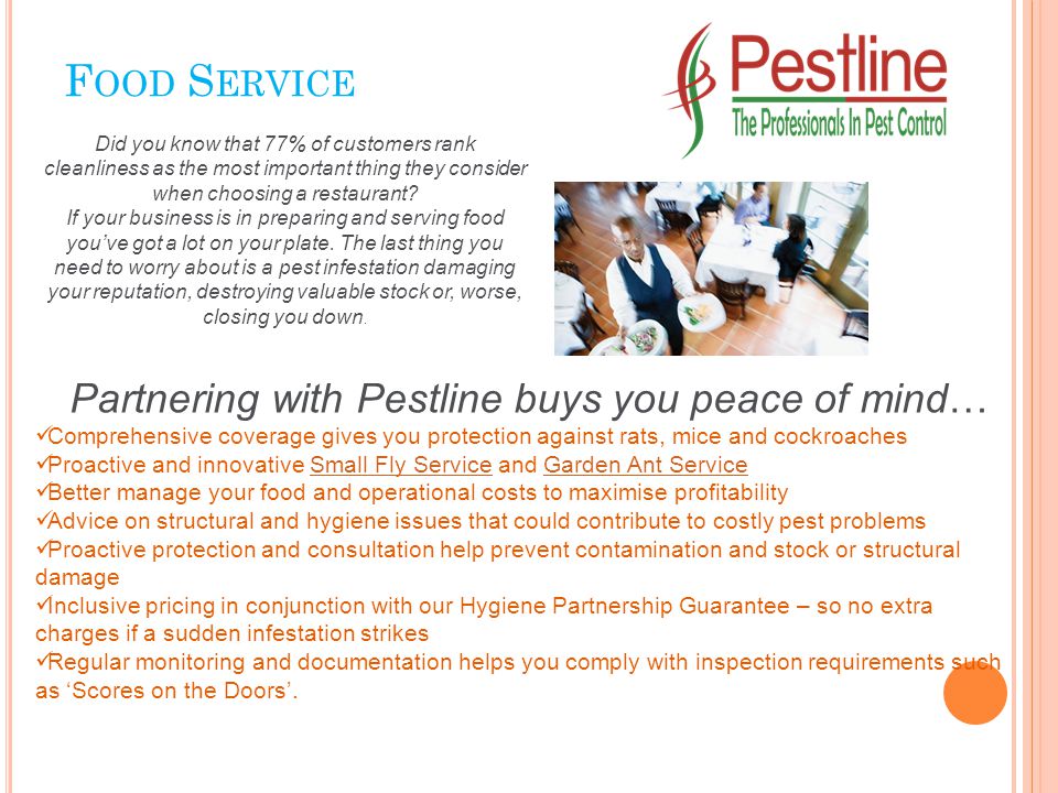 F OOD S ERVICE Partnering with Pestline buys you peace of mind… Comprehensive coverage gives you protection against rats, mice and cockroaches Proactive and innovative Small Fly Service and Garden Ant ServiceSmall Fly ServiceGarden Ant Service Better manage your food and operational costs to maximise profitability Advice on structural and hygiene issues that could contribute to costly pest problems Proactive protection and consultation help prevent contamination and stock or structural damage Inclusive pricing in conjunction with our Hygiene Partnership Guarantee – so no extra charges if a sudden infestation strikes Regular monitoring and documentation helps you comply with inspection requirements such as ‘Scores on the Doors’.