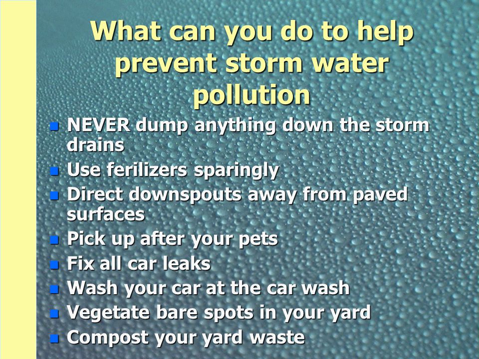 What can you do to help prevent storm water pollution n NEVER dump anything down the storm drains n Use ferilizers sparingly n Direct downspouts away from paved surfaces n Pick up after your pets n Fix all car leaks n Wash your car at the car wash n Vegetate bare spots in your yard n Compost your yard waste