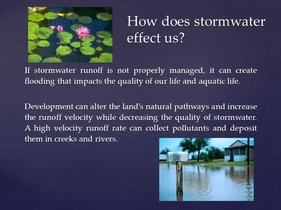 If stormwater runoff is not properly managed, it can create flooding that impacts the quality of our life and aquatic life.
