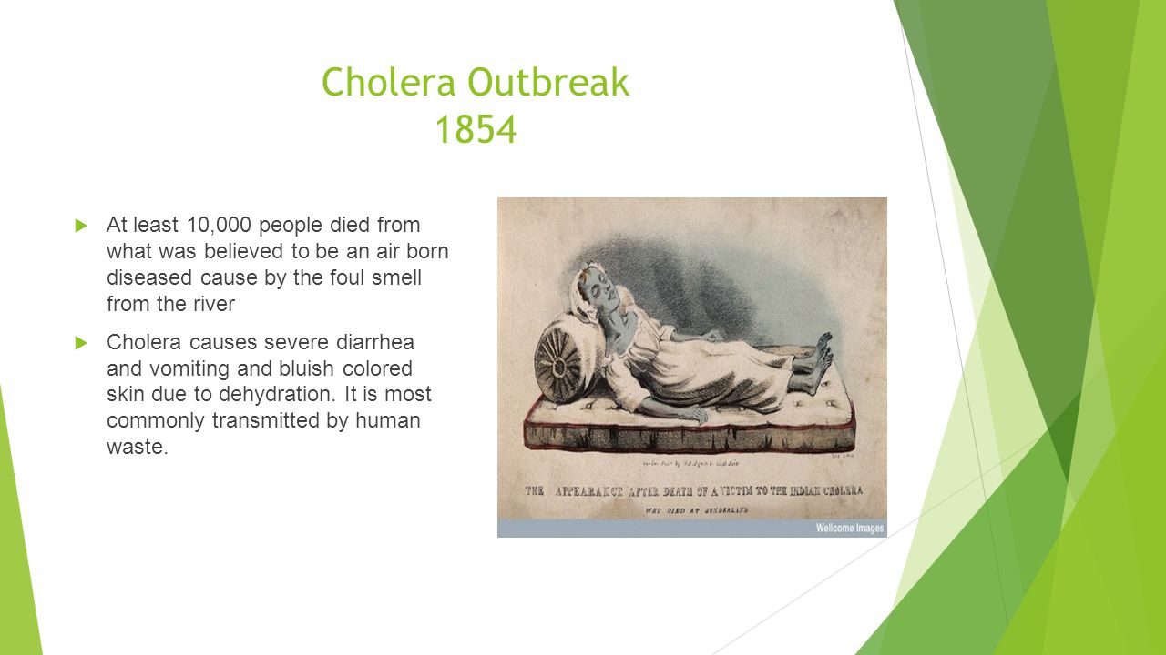 Cholera Outbreak 1854  At least 10,000 people died from what was believed to be an air born diseased cause by the foul smell from the river  Cholera causes severe diarrhea and vomiting and bluish colored skin due to dehydration.