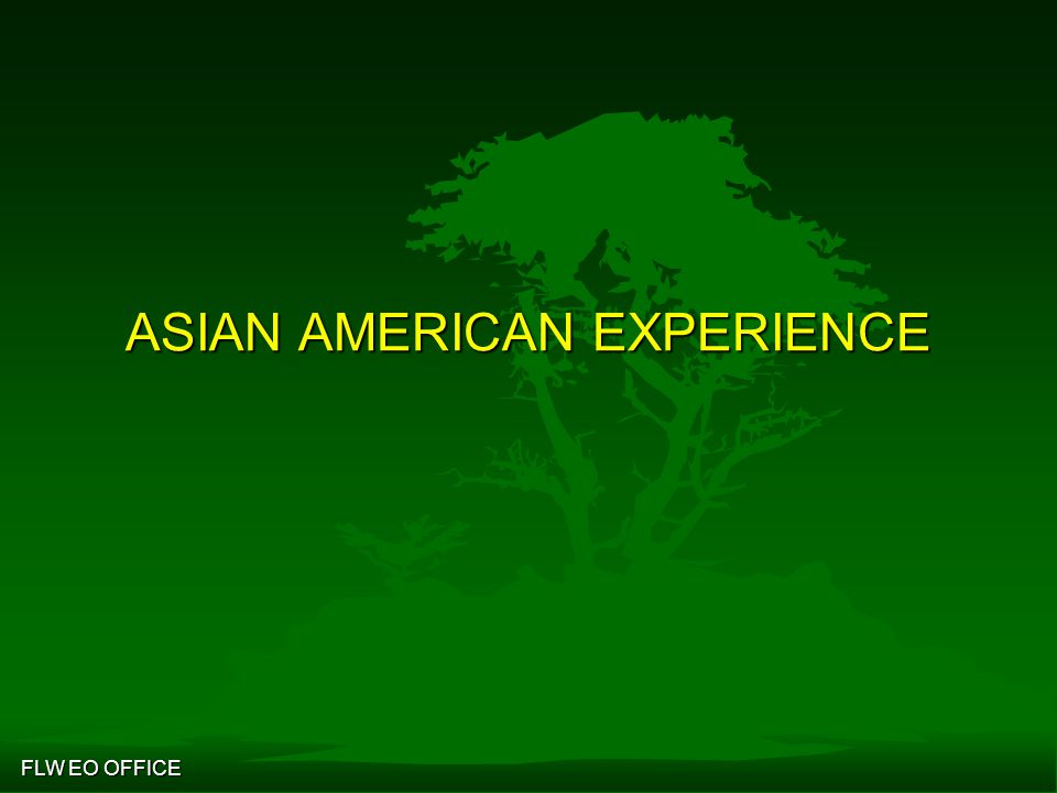 the contemporary asian american experience Grandpa dick hanging out
