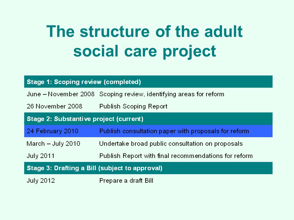 The structure of the adult social care project
