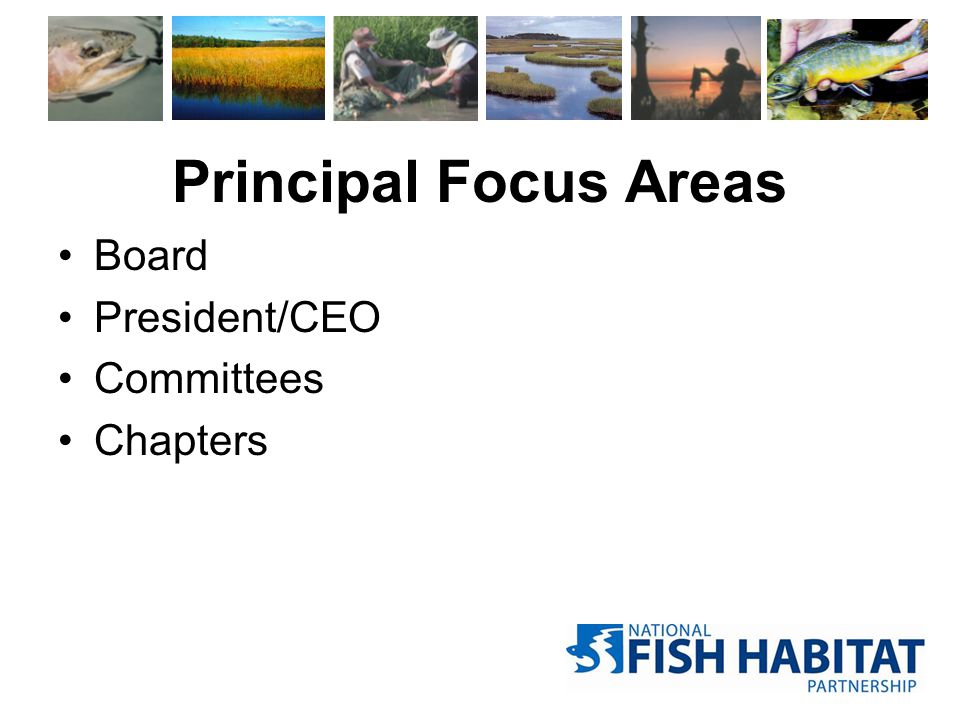 Principal Focus Areas Board President/CEO Committees Chapters