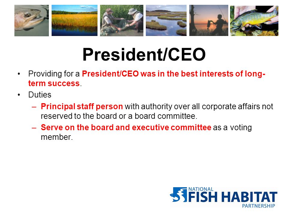 President/CEO Providing for a President/CEO was in the best interests of long- term success.