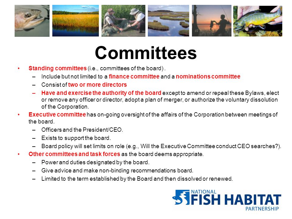 Committees Standing committees (i.e., committees of the board).