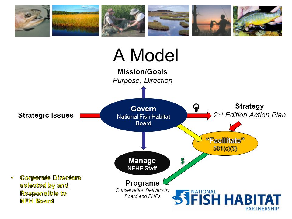A Model Mission/Goals Purpose, Direction Programs Conservation Delivery by Board and FHPs Strategy 2 nd Edition Action Plan Strategic Issues Manage NFHP Staff Govern National Fish Habitat Board