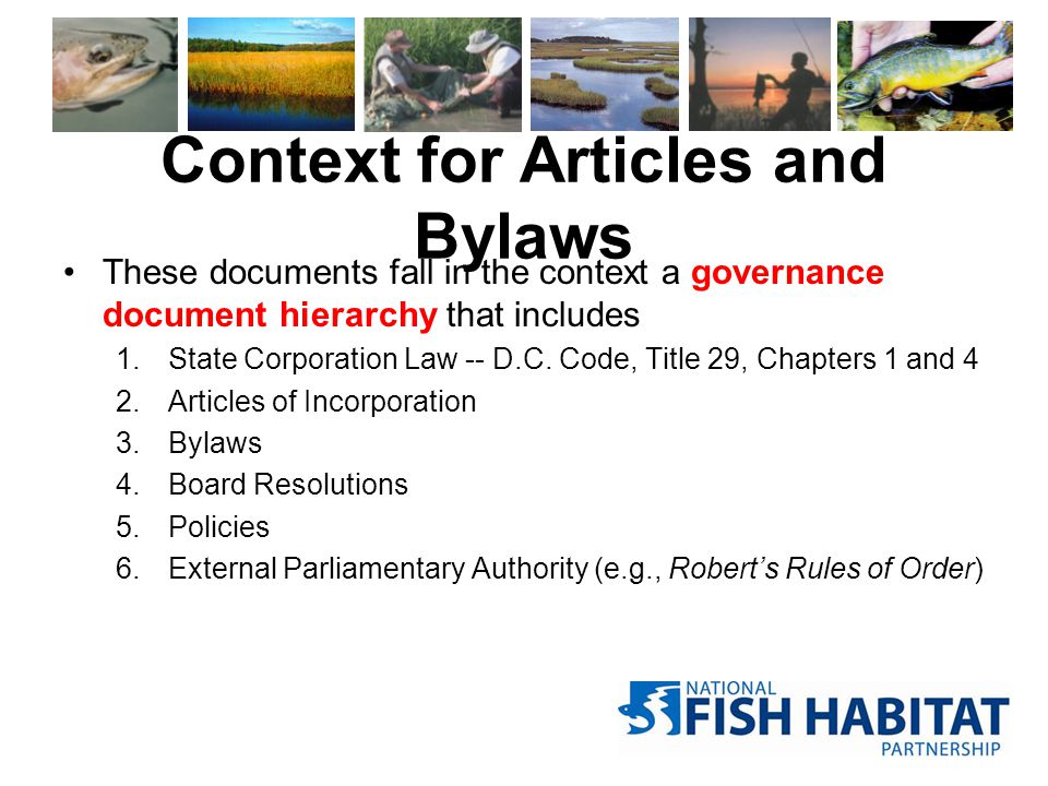 Context for Articles and Bylaws These documents fall in the context a governance document hierarchy that includes 1.State Corporation Law -- D.C.