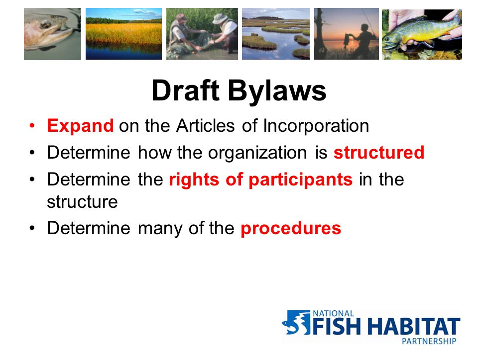 Draft Bylaws Expand on the Articles of Incorporation Determine how the organization is structured Determine the rights of participants in the structure Determine many of the procedures