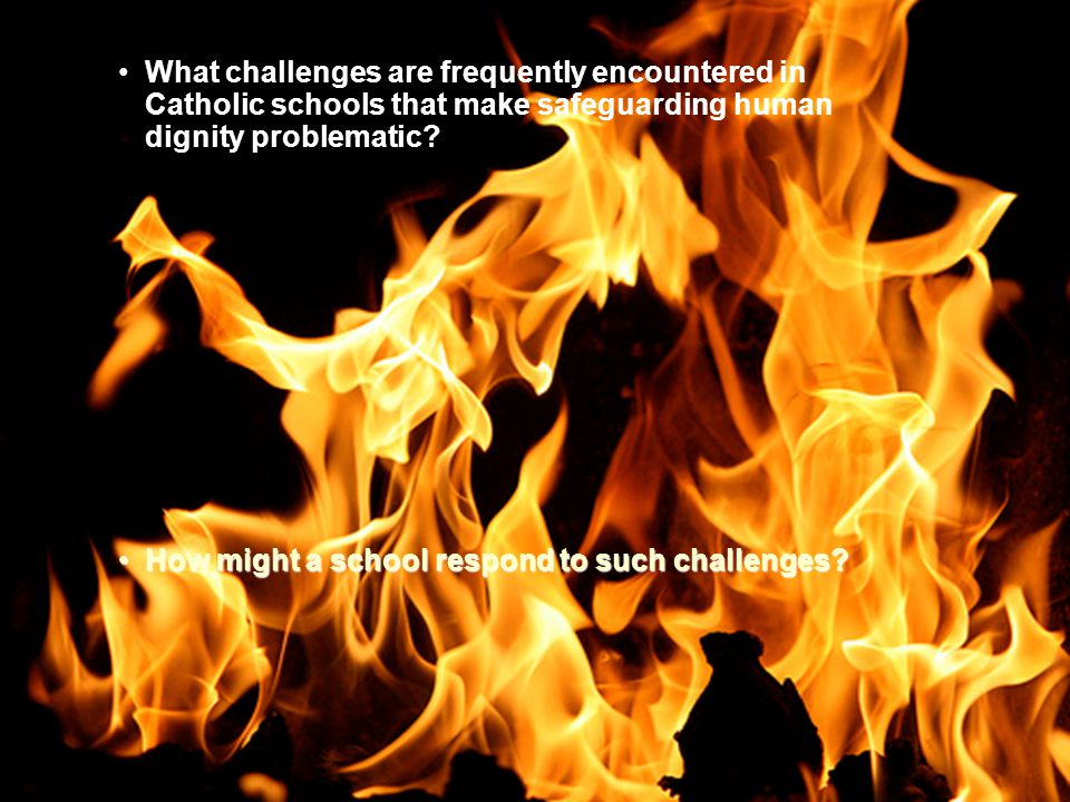 What challenges are frequently encountered in Catholic schools that make safeguarding human dignity problematic.