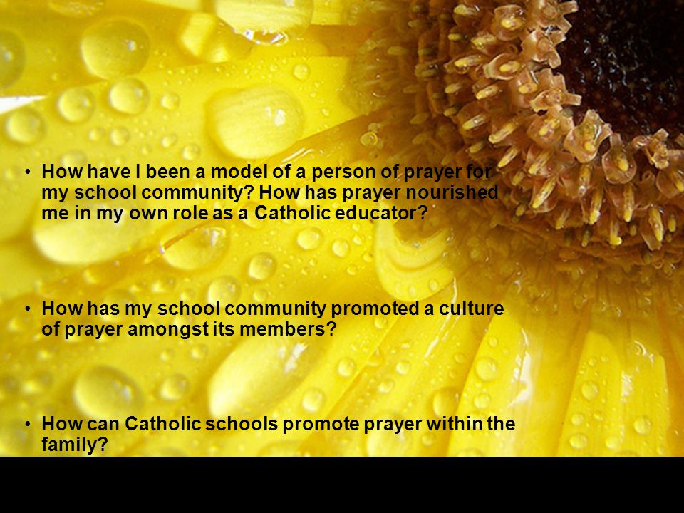 How have I been a model of a person of prayer for my school community.