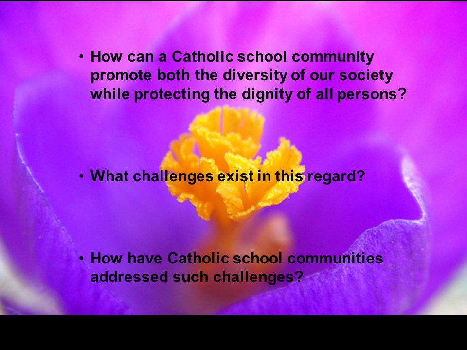 How can a Catholic school community promote both the diversity of our society while protecting the dignity of all persons.