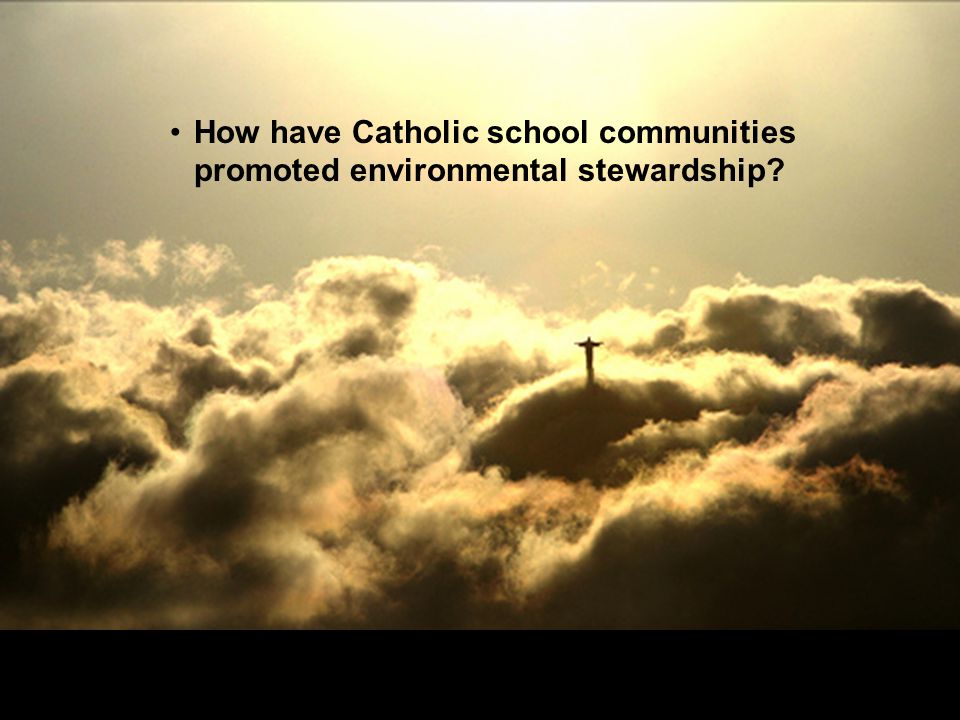 How have Catholic school communities promoted environmental stewardship