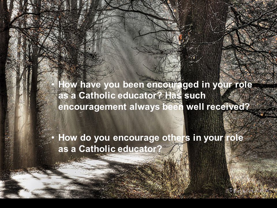 How have you been encouraged in your role as a Catholic educator.