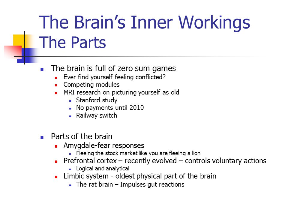 The Brain’s Inner Workings The Parts The brain is full of zero sum games Ever find yourself feeling conflicted.