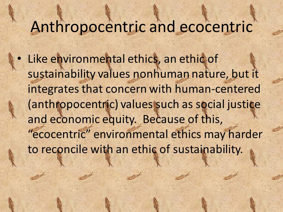 Anthropocentric and ecocentric Like environmental ethics, an ethic of sustainability values nonhuman nature, but it integrates that concern with human-centered (anthropocentric) values such as social justice and economic equity.