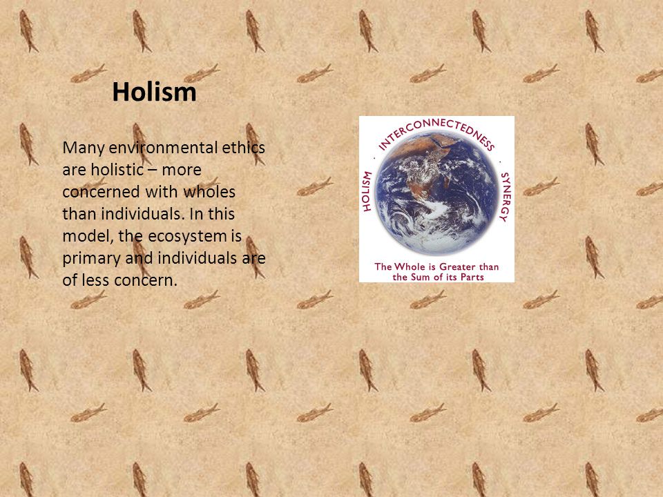 Holism Many environmental ethics are holistic – more concerned with wholes than individuals.