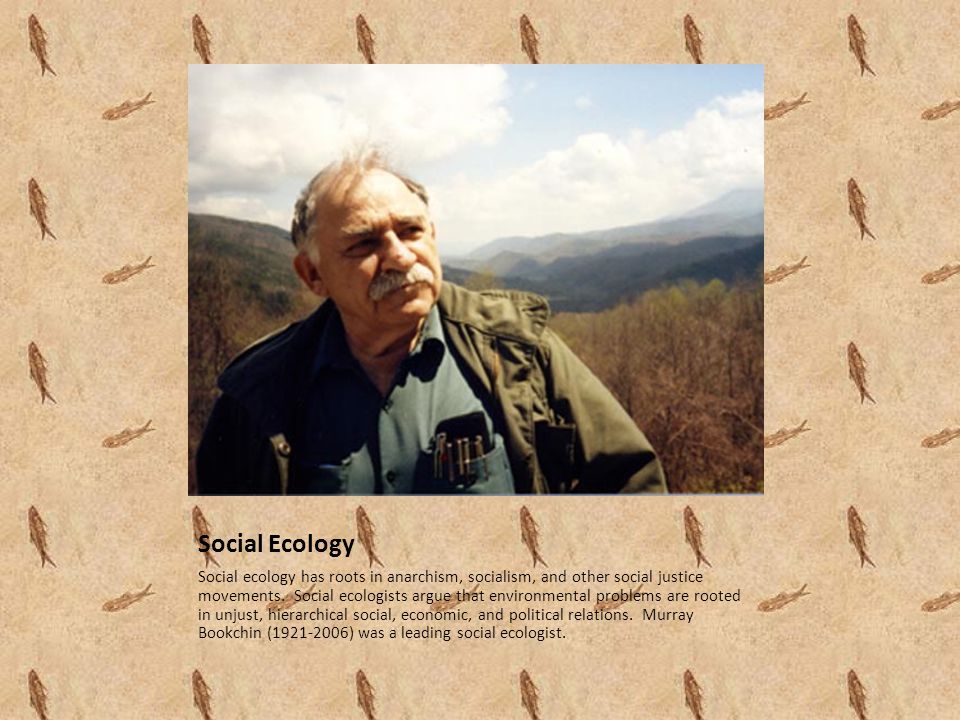 Social Ecology Social ecology has roots in anarchism, socialism, and other social justice movements.