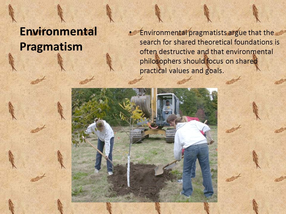 Environmental Pragmatism Environmental pragmatists argue that the search for shared theoretical foundations is often destructive and that environmental philosophers should focus on shared practical values and goals.