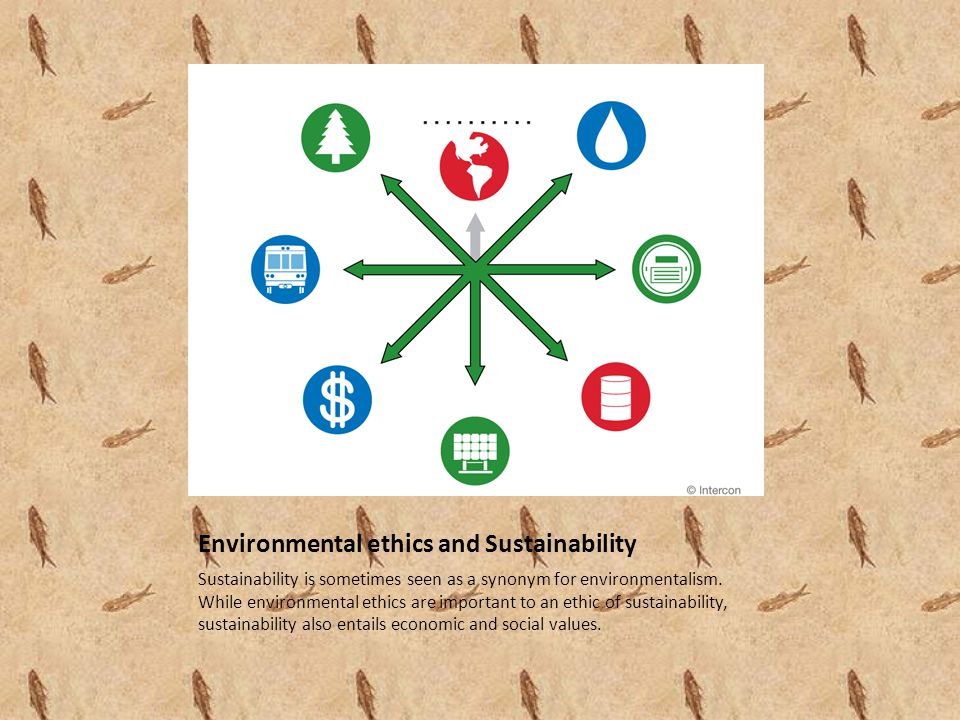 Environmental ethics and Sustainability Sustainability is sometimes seen as a synonym for environmentalism.