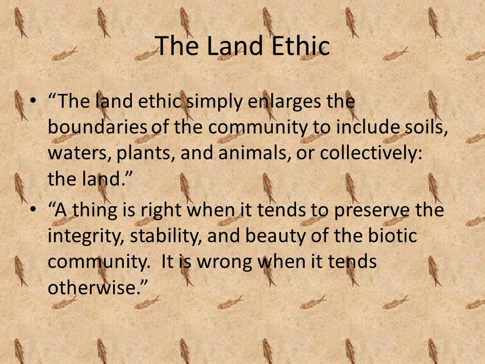 The Land Ethic The land ethic simply enlarges the boundaries of the community to include soils, waters, plants, and animals, or collectively: the land. A thing is right when it tends to preserve the integrity, stability, and beauty of the biotic community.