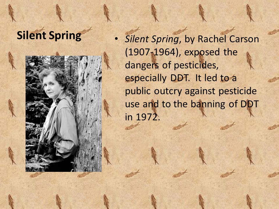 Silent Spring Silent Spring, by Rachel Carson ( ), exposed the dangers of pesticides, especially DDT.