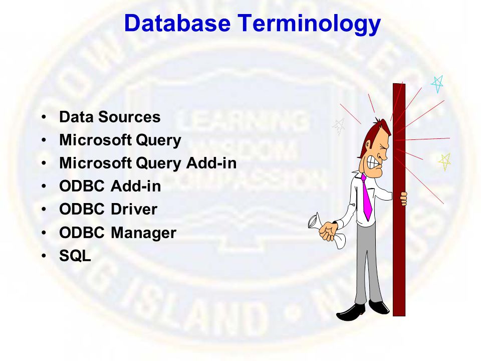 Database Terminology Data Sources Microsoft Query Microsoft Query Add-in ODBC Add-in ODBC Driver ODBC Manager SQL